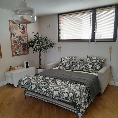 Joli Studio Avec Stationnement Gratuit Dans La Rue Apartment Le Mans Exterior foto